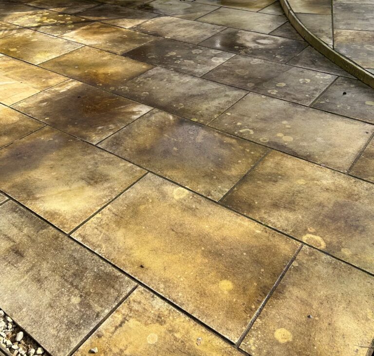 Moss On Patios